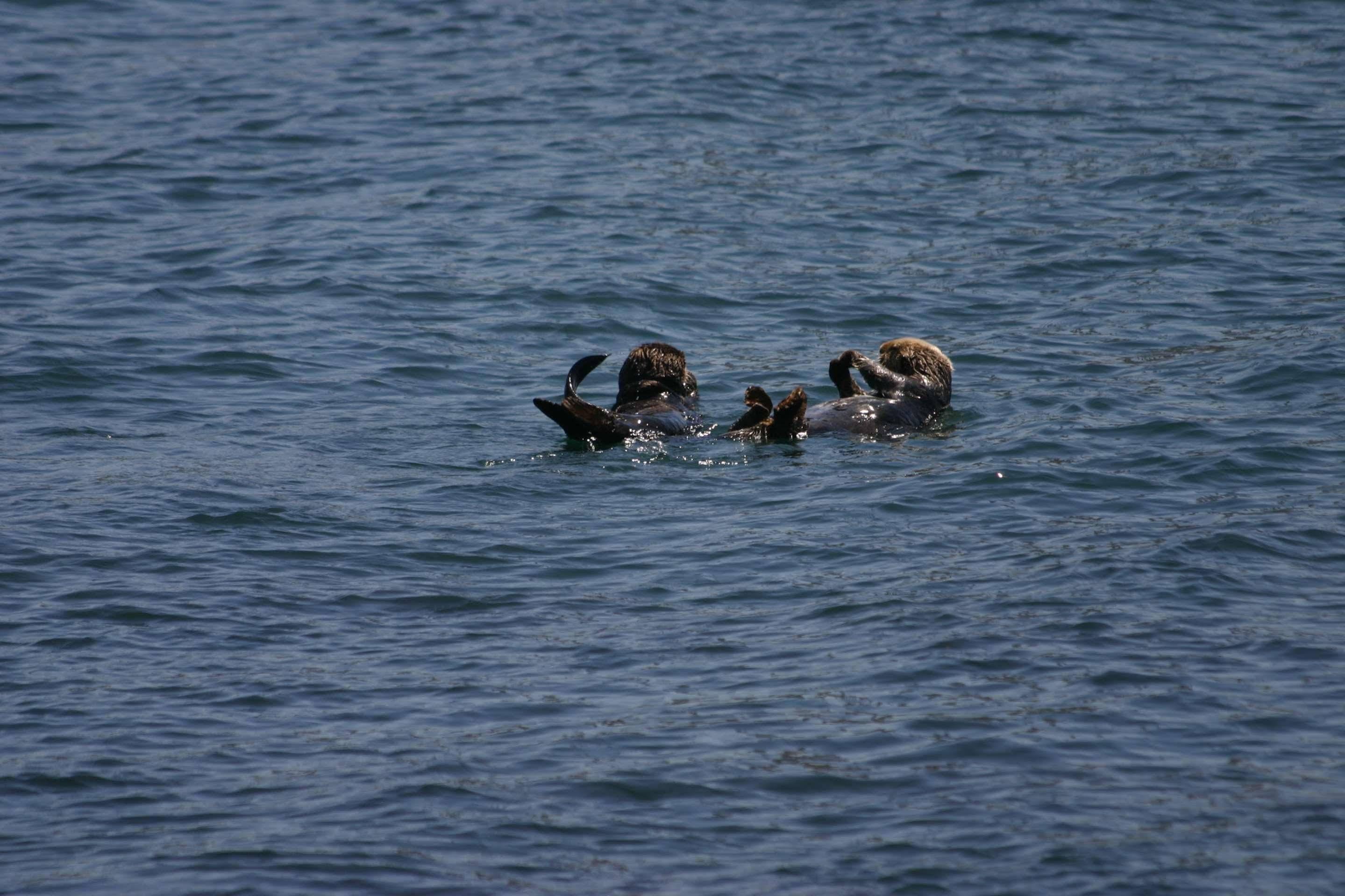 Rodeway Inn At Morro Bay Ngoại thất bức ảnh
